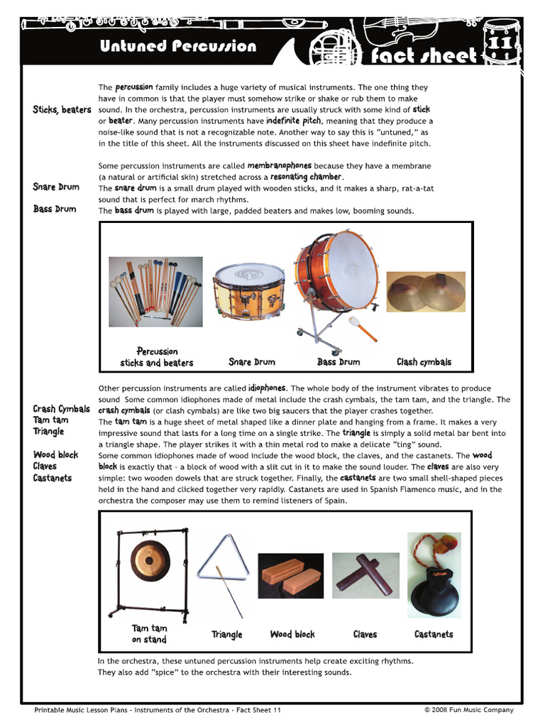 Understanding Untuned Percussion Instruments | PDF | Drum | Music ...