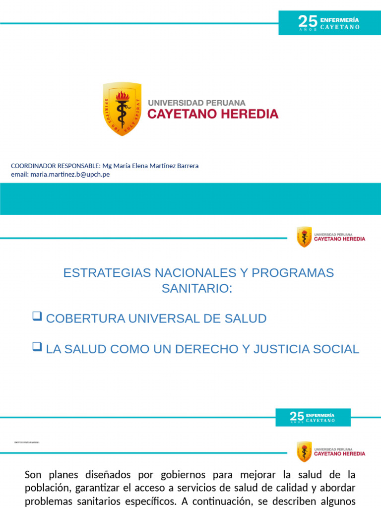 Estrategias Sanitarias Nacionales MINSA | PDF | Cuidado de la salud ...