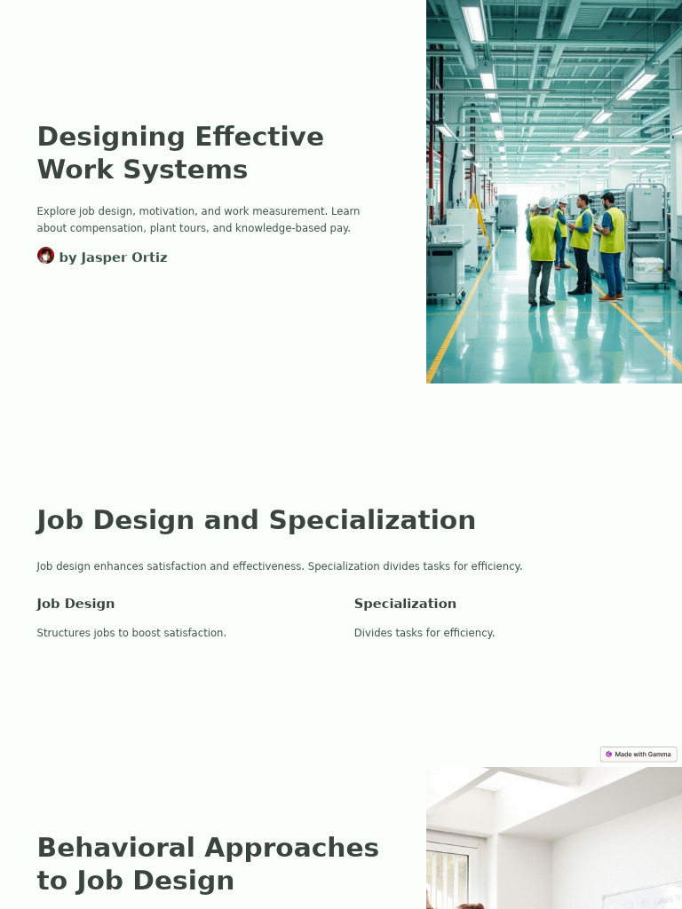 Designing Effective Work Systems | PDF