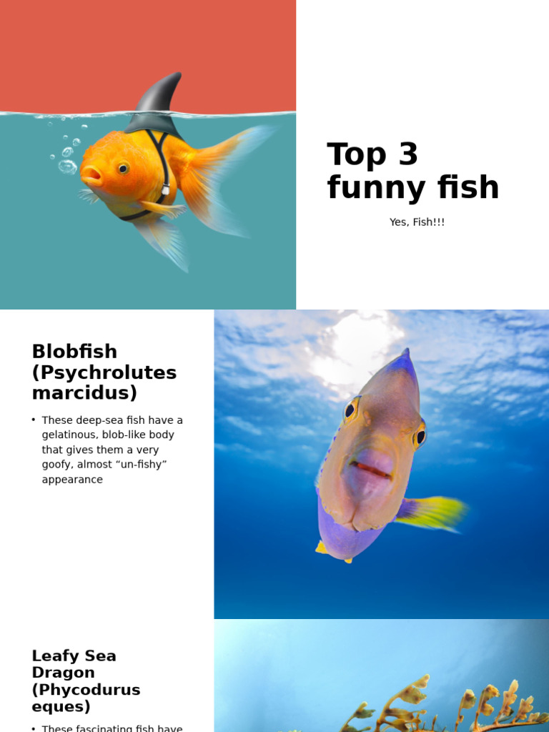 Blobfish A Comical Deep Sea Fish Pdf