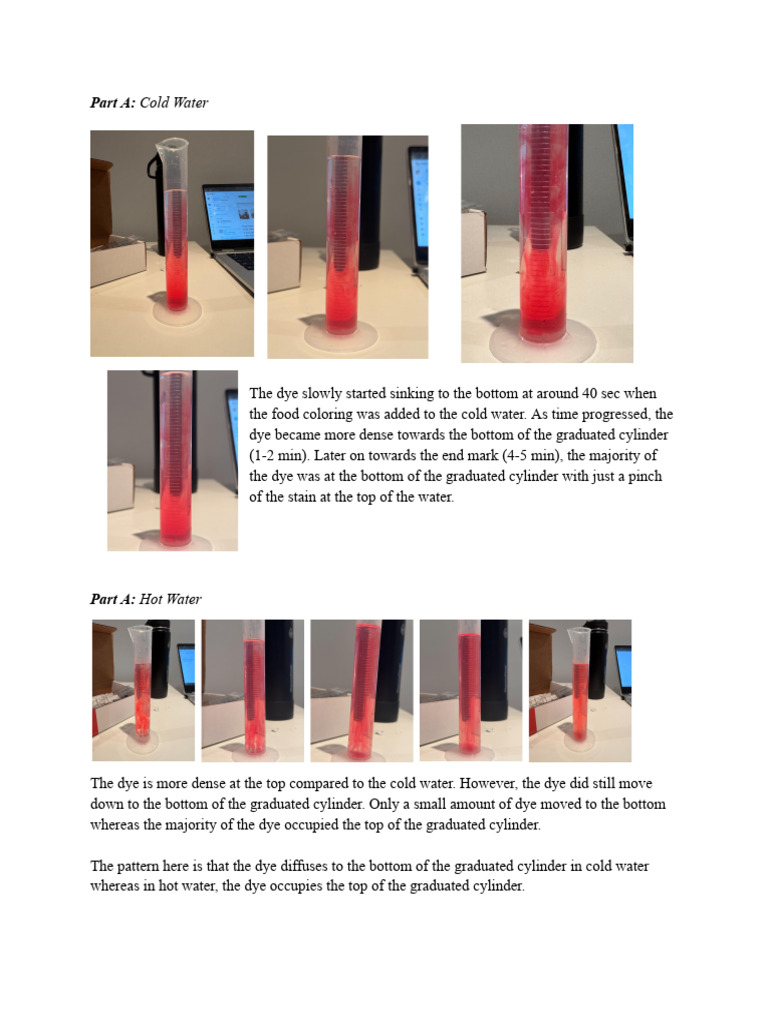 Lab 5 Physics | PDF