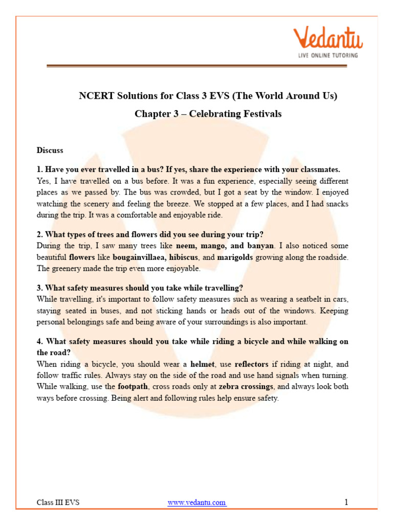 Safety And Celebrations In Travel Pdf Dress Clothing