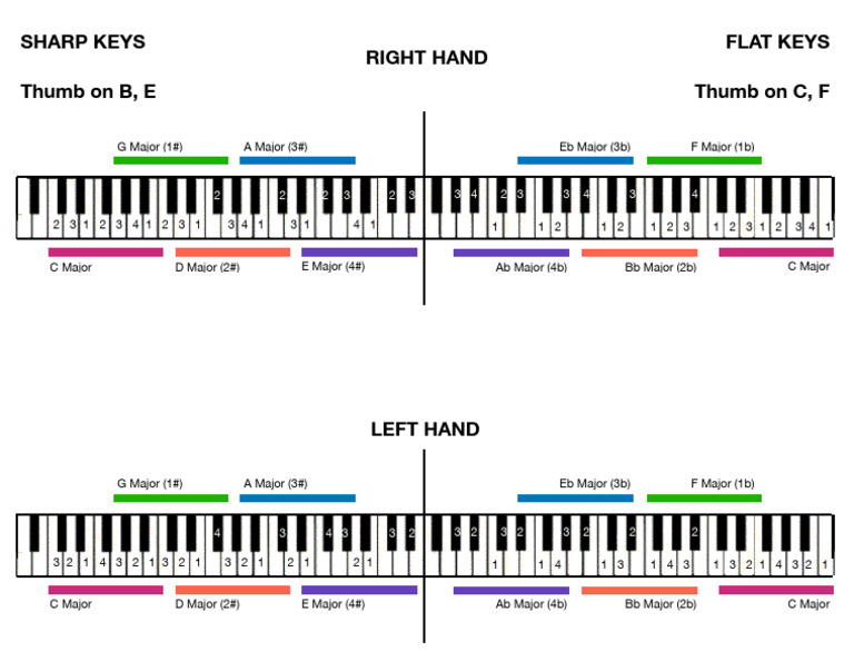 Major Scale Fingerings on Keyboard | PDF