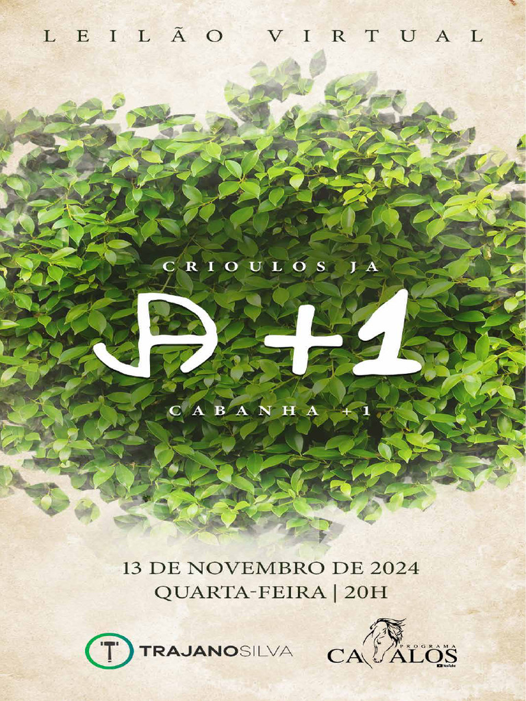 JA+1 2024 Catalogo 241101 183422 | PDF