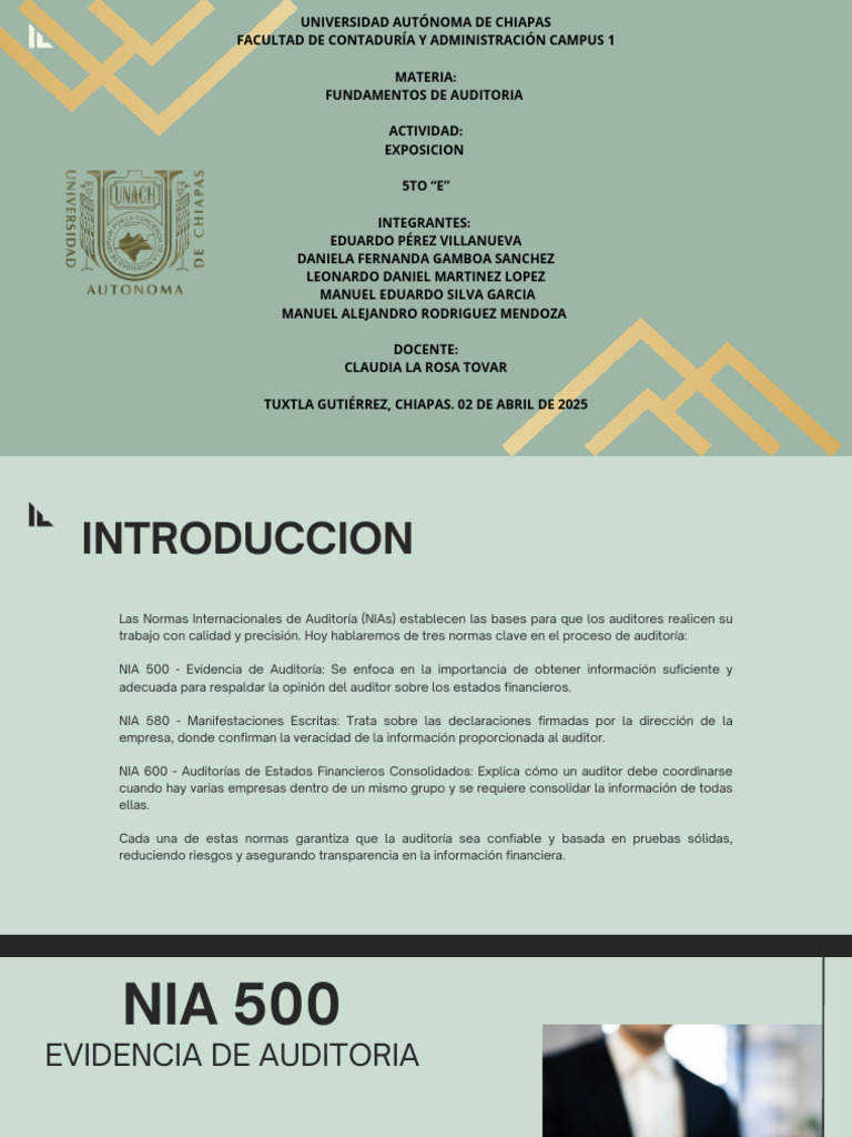 Nia 500, 580 y 600 - 20250407 - 122811 - 0000 | PDF | Auditoría | Contralor