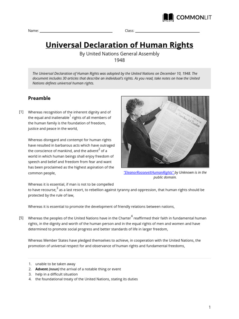 Universal Declaration of Human Rights | PDF | Human Rights | European ...