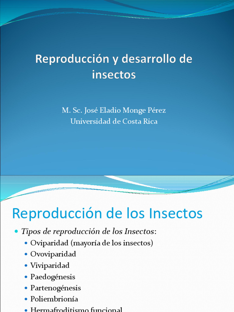 Tipos de Reproducción en Insectos | PDF | Insectos | Huevo