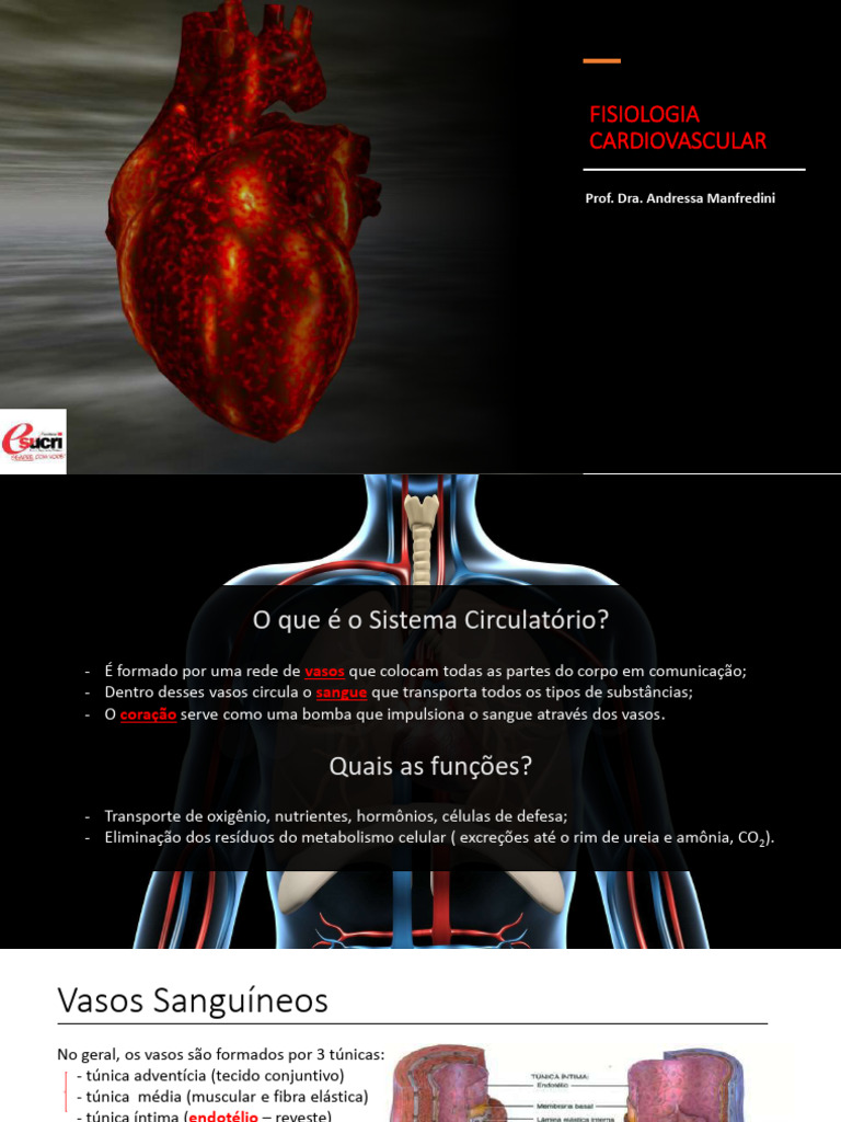 Fisiologia do Sistema Cardiovascular | PDF | Coração | Sistema circulatório