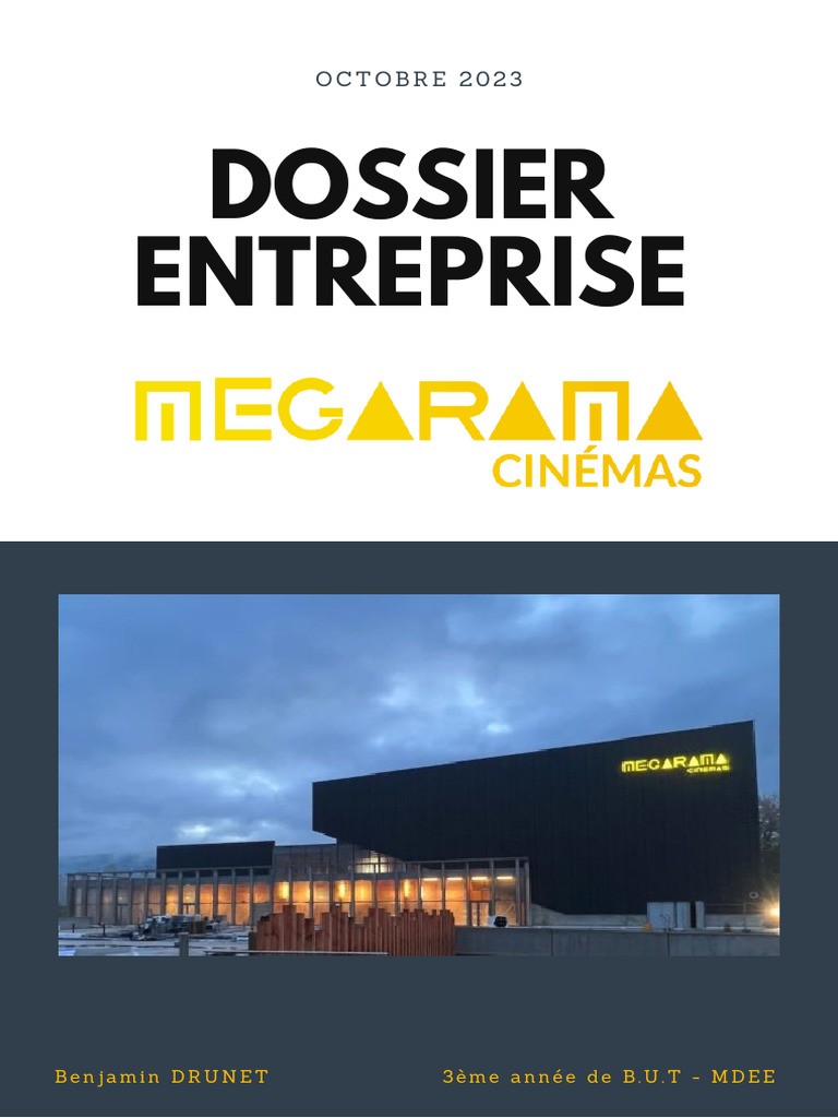 Stratégie marketing du Groupe Megarama | PDF | Cinématographie ...