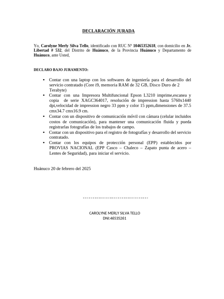 Declaración Jurada 2025 de Equipos y EPP | PDF