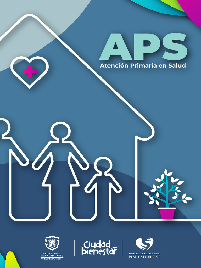 Lineamientos para Atención Primaria en Salud | PDF | Cuidado de la ...