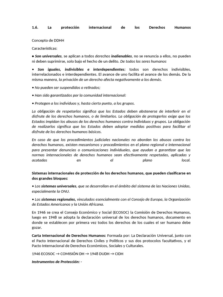 Protección Internacional de DDHH | PDF | Derechos humanos | Naciones Unidas