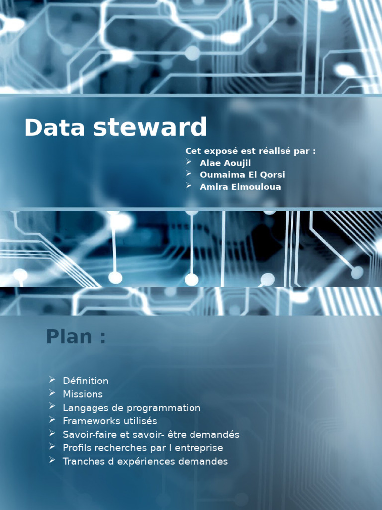 Guide du Data Steward : Rôles et Compétences | PDF | Métadonnées ...