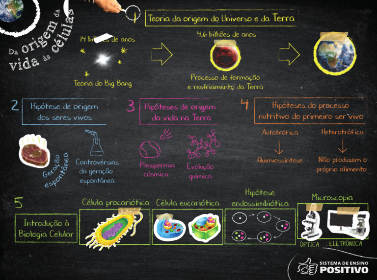 Origem Da Vida Resumo | PDF