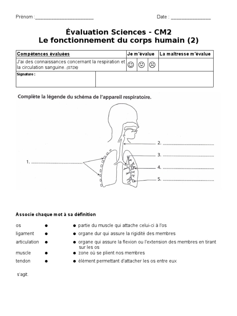 CM2 Evaluation Respiration + Circulation Sanguine