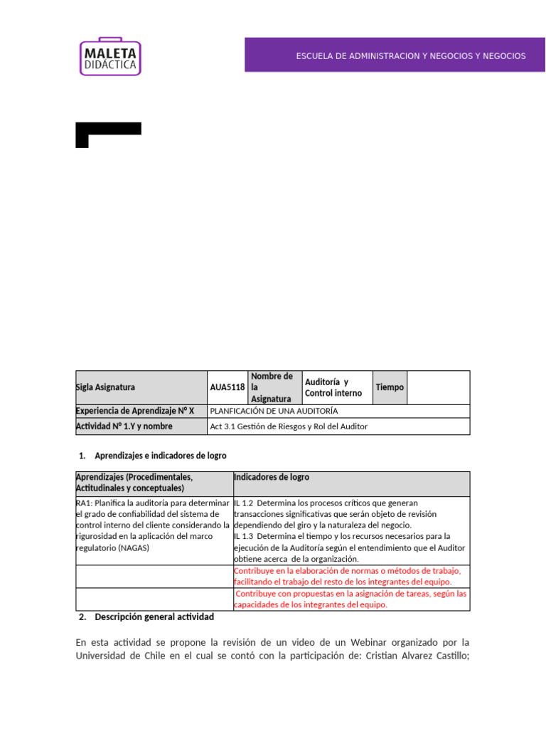 Rol del Auditor en Gestión de Riesgos | PDF | Auditoría | Aprendizaje