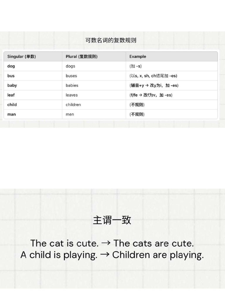 可数名词和不可数名词 | PDF