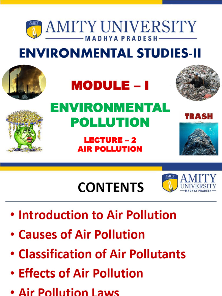 Understanding Air Pollution Causes and Effects | PDF | Particulates ...