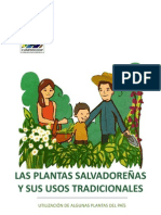 PlantasSalvadorenas-UsosTradicionales