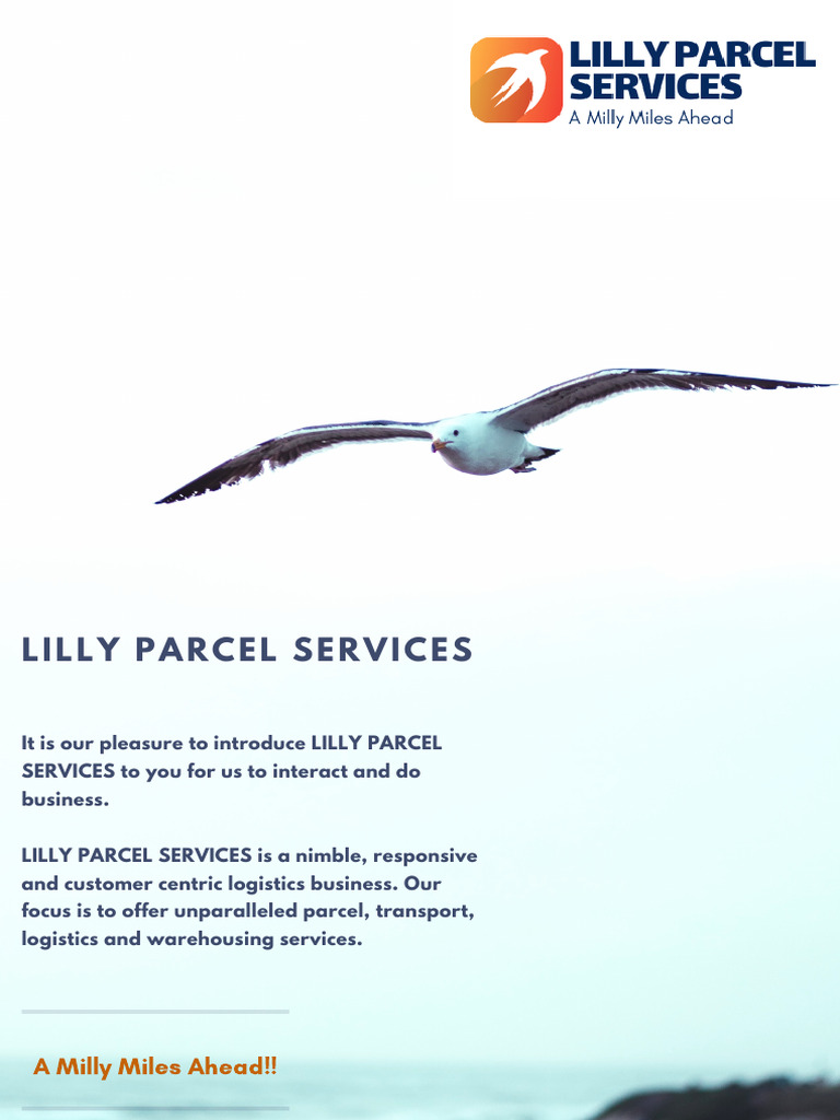 Lilly Parcel Services Overview | PDF | Logistics | Safety