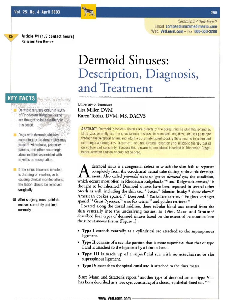 Dermoid Sinus in Rhodesian Ridgebacks | PDF | Vertebra | Surgery
