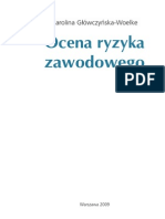 Ocena Ryzyka Zawodowego 2009