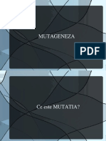 Mutageneza - Biologie