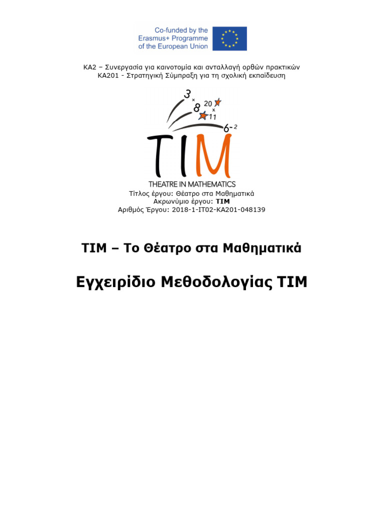 TIM Methodology - Final Work Document GR | PDF