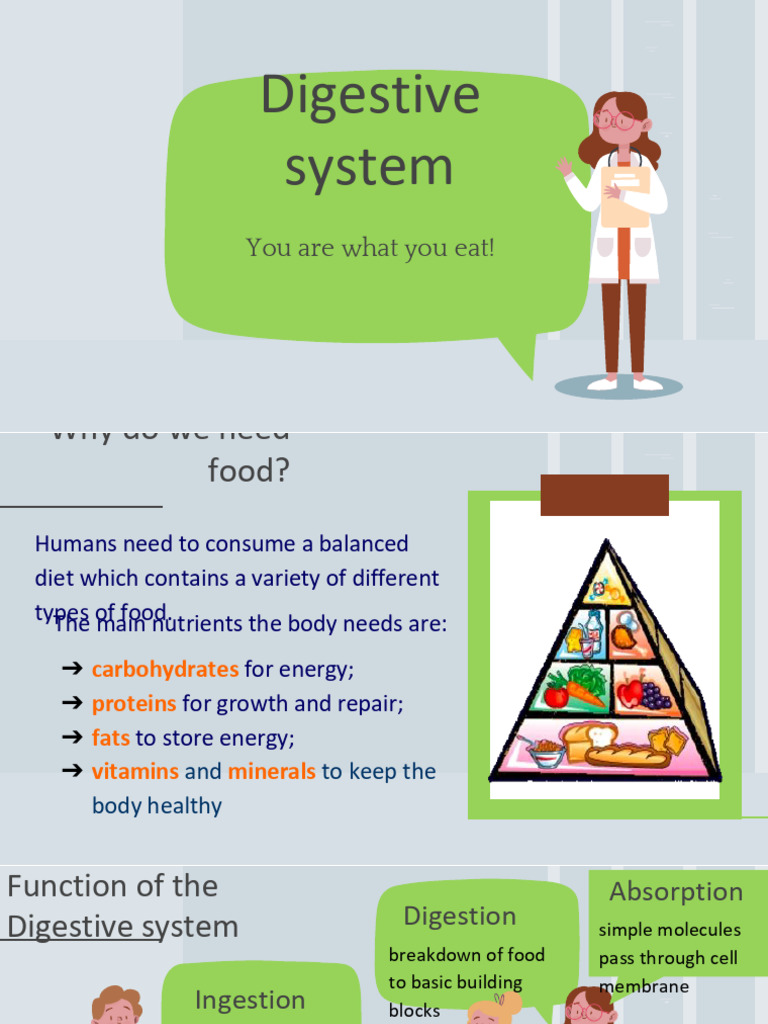 Digestive System-kuya Peds | PDF | Digestion | Small Intestine
