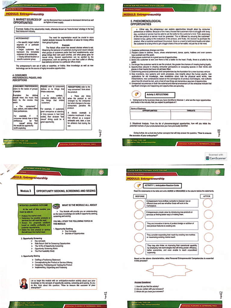 Opportunity Seeking Screening And Seizing Pdf