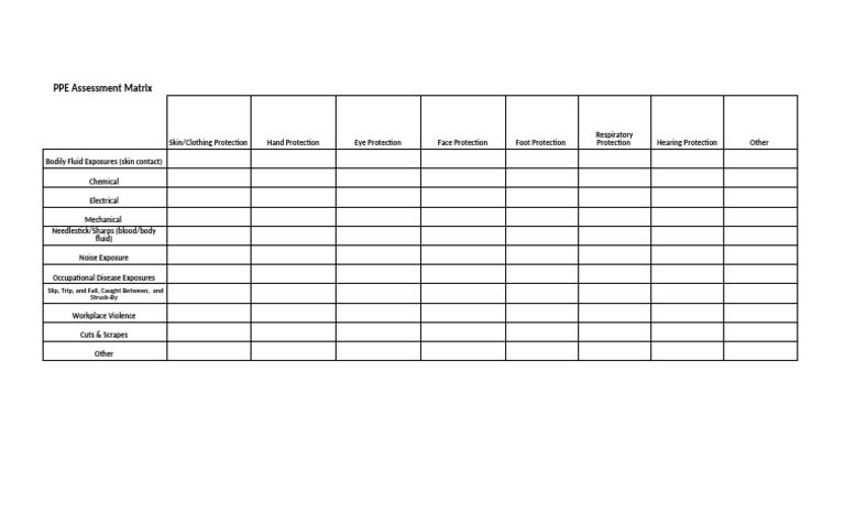 Comprehensive PPE Assessment Guide | PDF