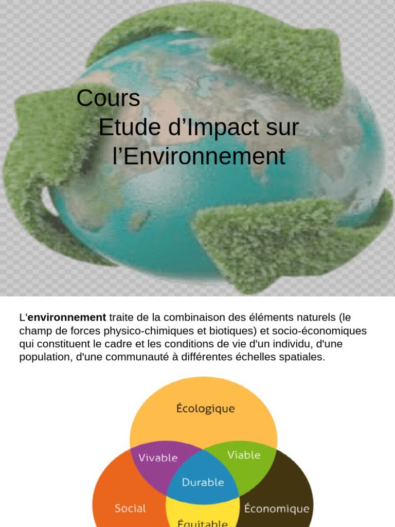 Étude d'Impact Environnemental EIE | PDF | Environnement naturel ...