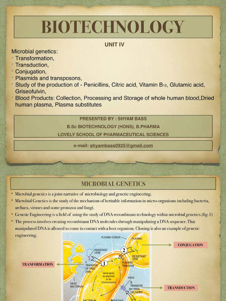 4 3 | PDF