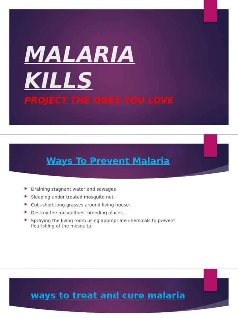 Gallery Detail: Effective Malaria Prevention And Treatment