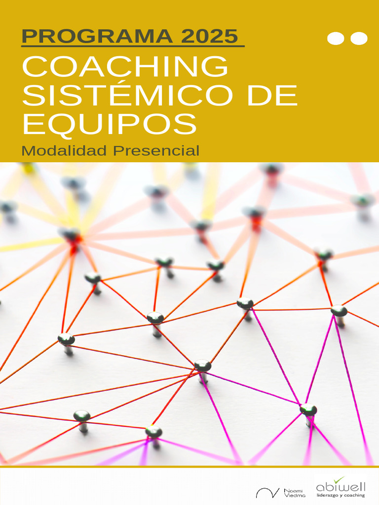 Programa Coaching Sistemico Equipos 2025 | PDF | Liderazgo ...