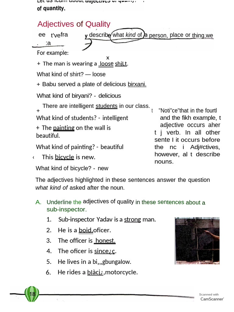 Understanding Adjectives of Quality | PDF | Adjective | Linguistic Typology