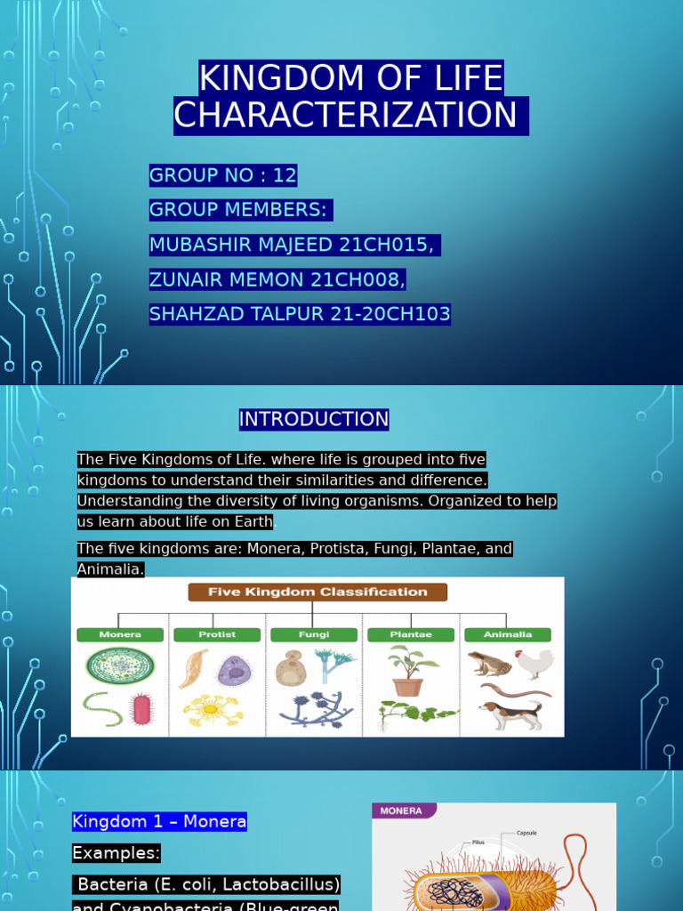 Kingdom of Life Charactrization Presentation | PDF | Plants | Eukaryotes