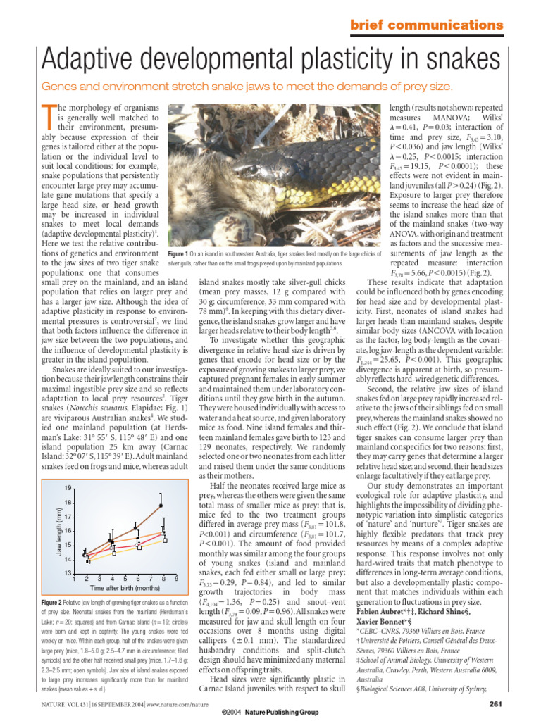 Adaptive Plasticity in Tiger Snake Jaws | PDF | Snake | Predation