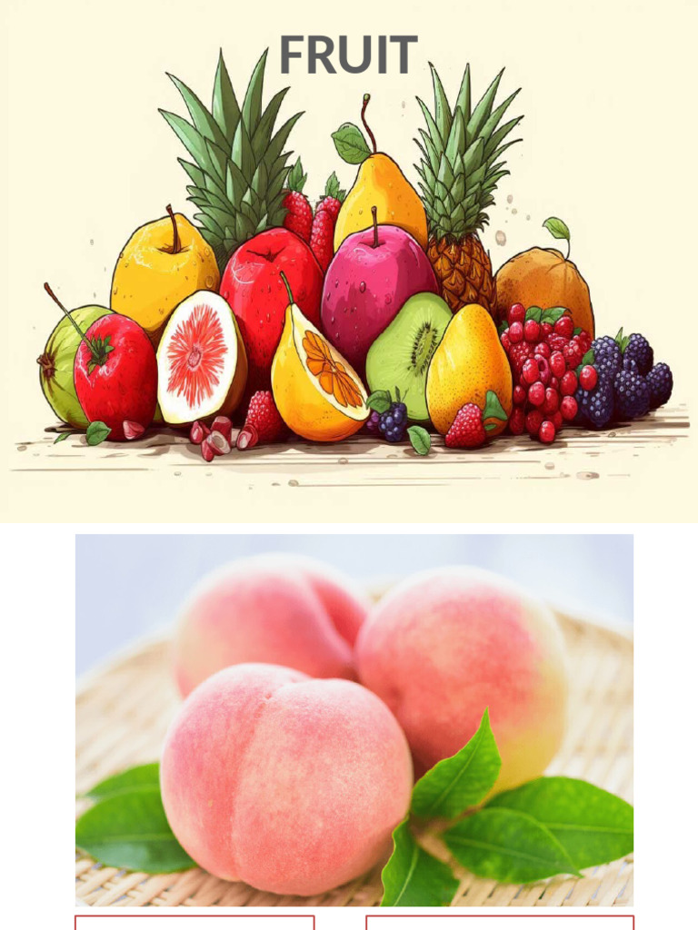FRUIT | PDF