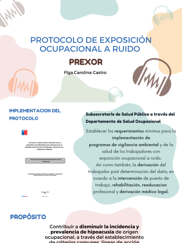 Protocolo de Exposición Ocupacional a Ruido | PDF | ruido | Seguridad y ...