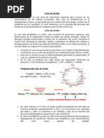 Fármacos Relajantes Musculares y Mecanismos | PDF | Neurona motora ...
