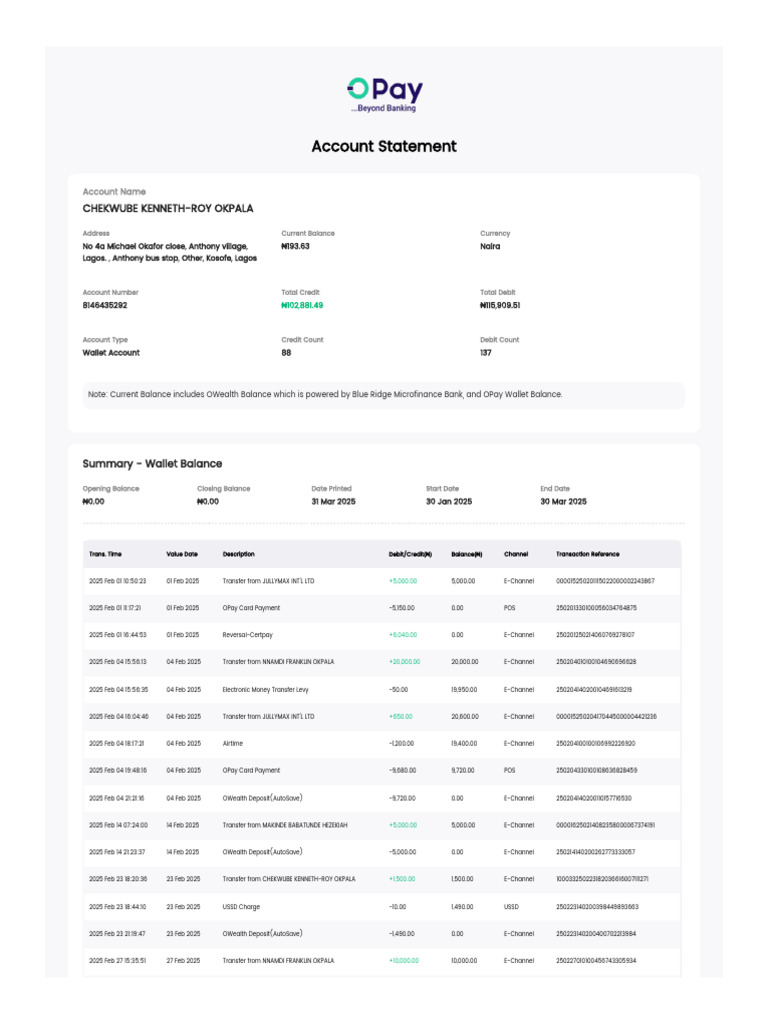 OPay Wallet Account Statement | PDF | Credit Card | Debit Card