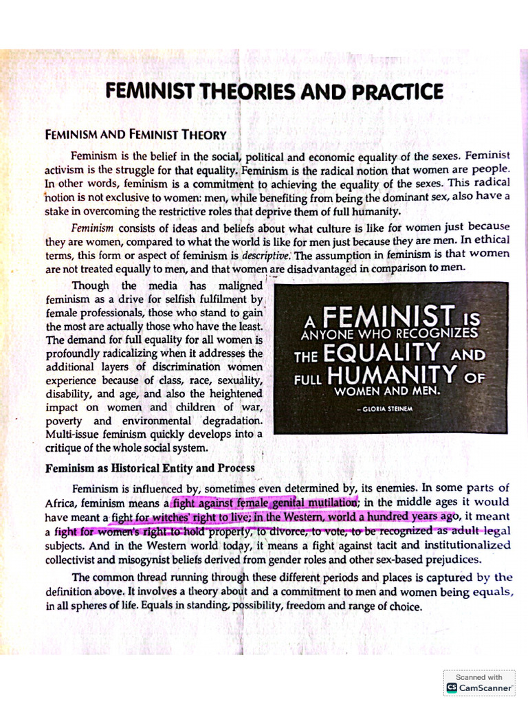 Feminist Theories in Gender Studies | PDF