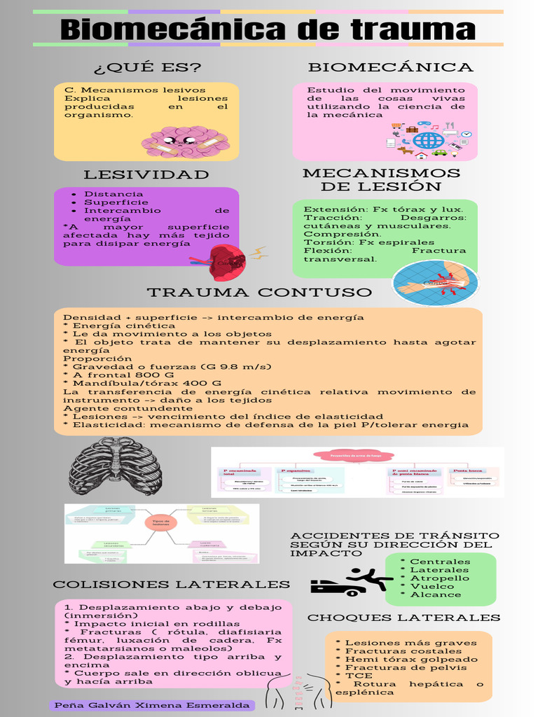 Biomecánica del Trauma Contuso en Accidentes | PDF | Rodilla ...