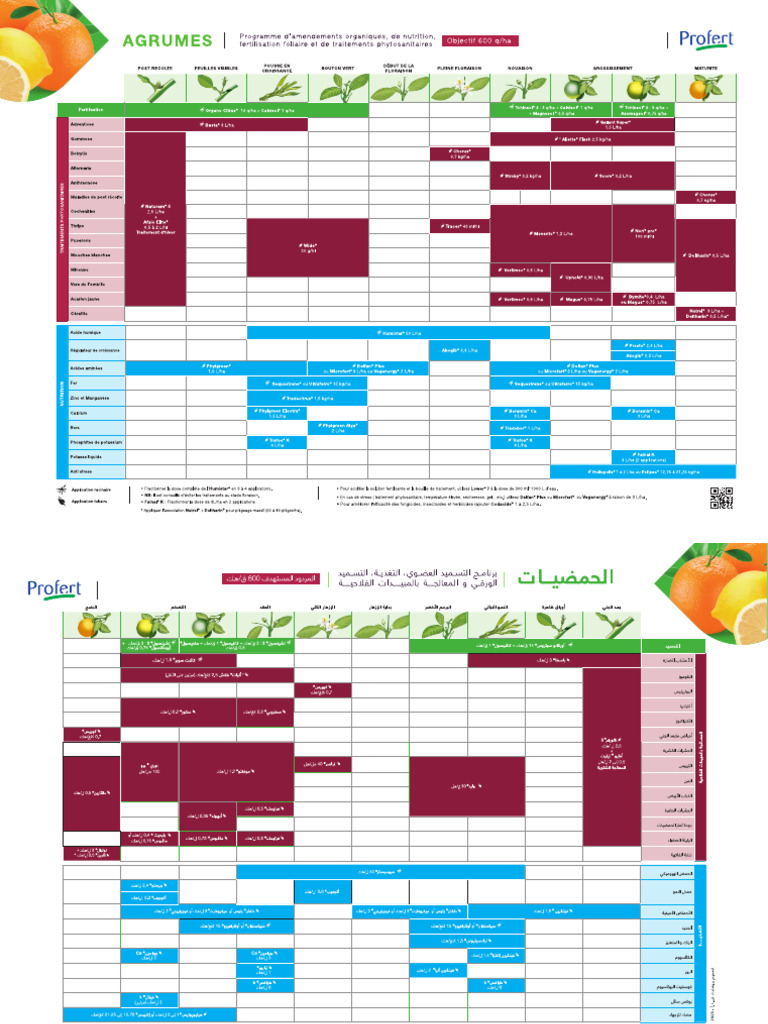 Crop Plan Agrume | PDF