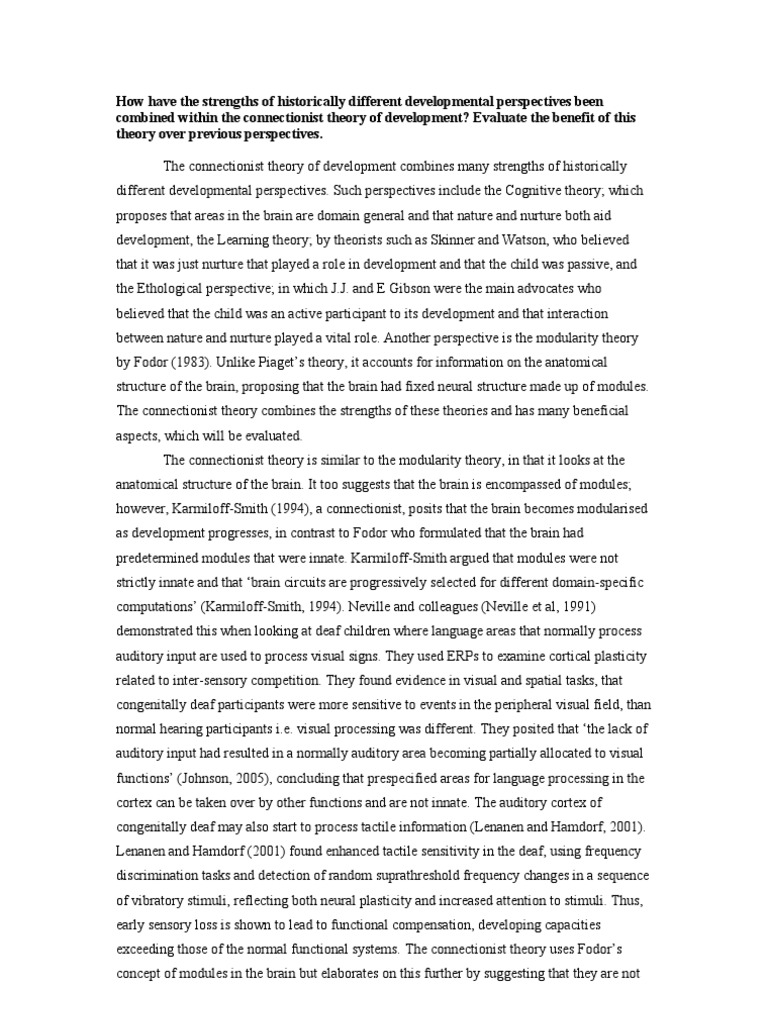 Neuroplasticity image