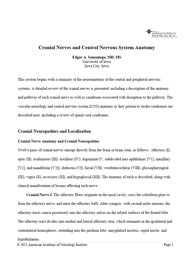 Cranial Nerves and CNS Anatomy Overview | PDF | Spinal Cord | Vagus Nerve