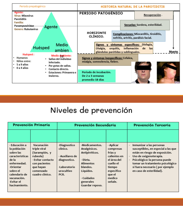 Historia Natural de la Parotiditis | PDF | Inmunología | Enfermedades y ...