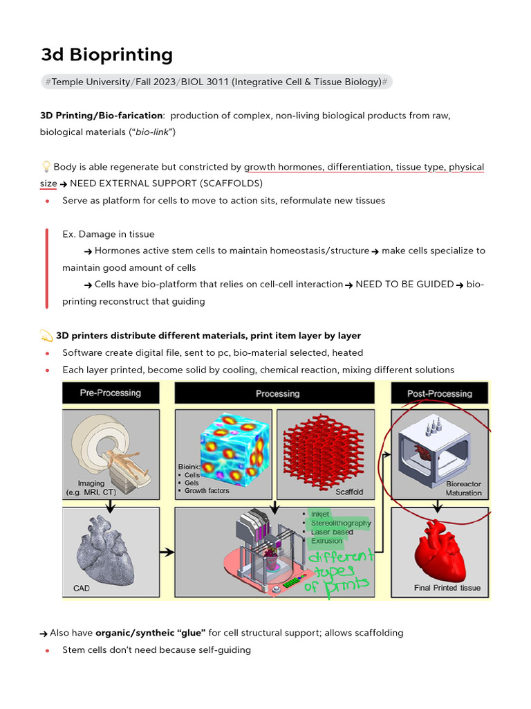 3D Bioprinting in BIOL 3011 | PDF | Stem Cell | Biomaterial