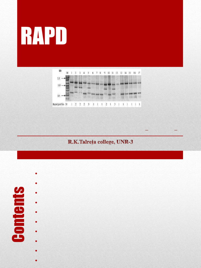 RAPD PCR Protocol Overview | PDF | Polymerase Chain Reaction | Primer ...